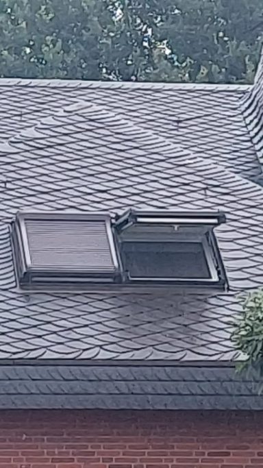 Dachfenster Dachfenster auf einem grauen Schrägdach mit grünem Umfeld.